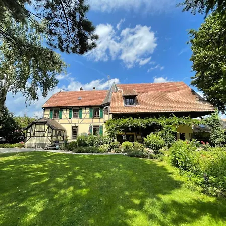 Rose - Piscine Partagee - Proche Europa Park